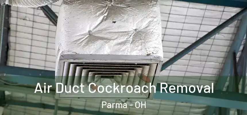  Air Duct Cockroach Removal Parma - OH