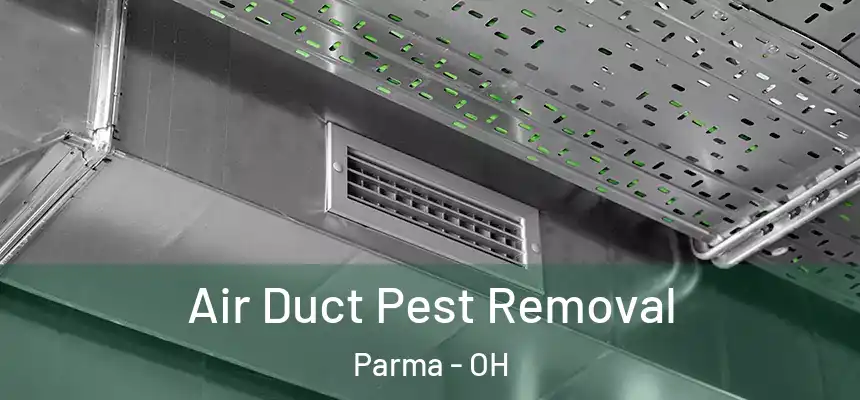 Air Duct Pest Removal Parma - OH