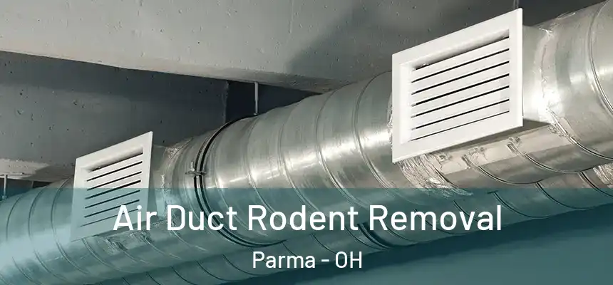 Air Duct Rodent Removal Parma - OH