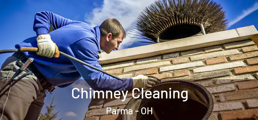 Chimney Cleaning Parma - OH