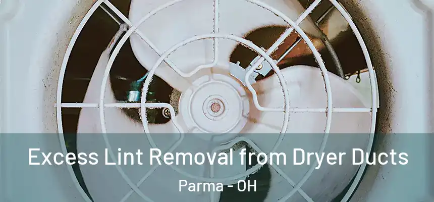 Excess Lint Removal from Dryer Ducts Parma - OH