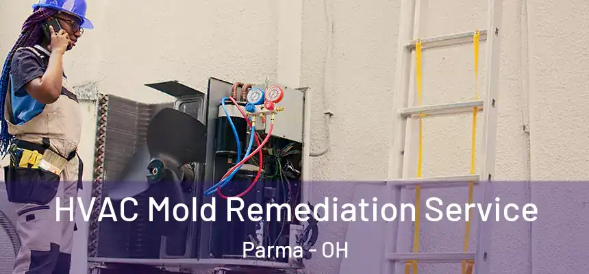 HVAC Mold Remediation Service Parma - OH