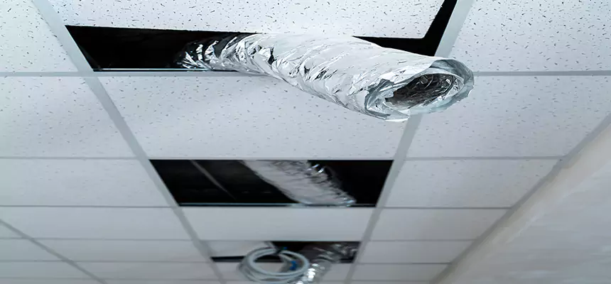 Affordable HVAC Sanitizing After Pest Removal in Parma