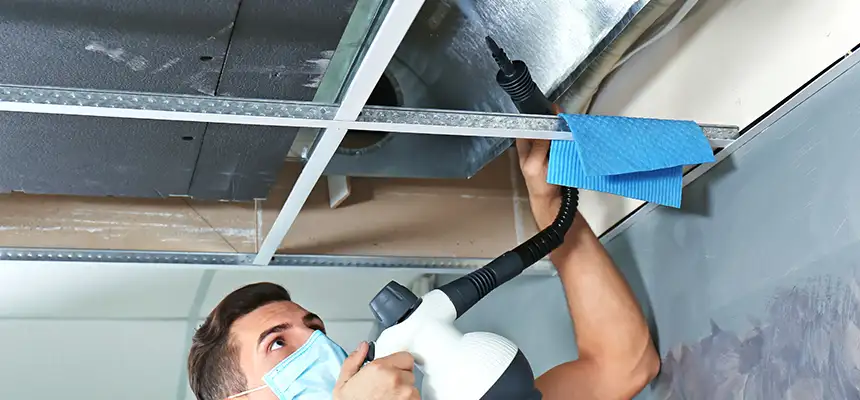 Our Air Duct Rodent Removal Services in Parma, OH