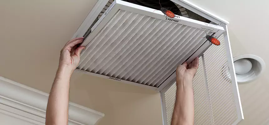 Our Insect Removal from Air Ducts Services in Parma, OH