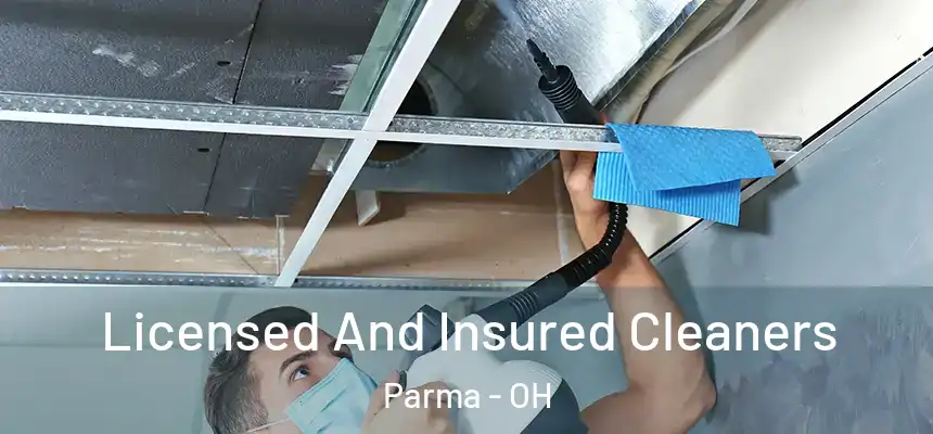 Licensed And Insured Cleaners Parma - OH