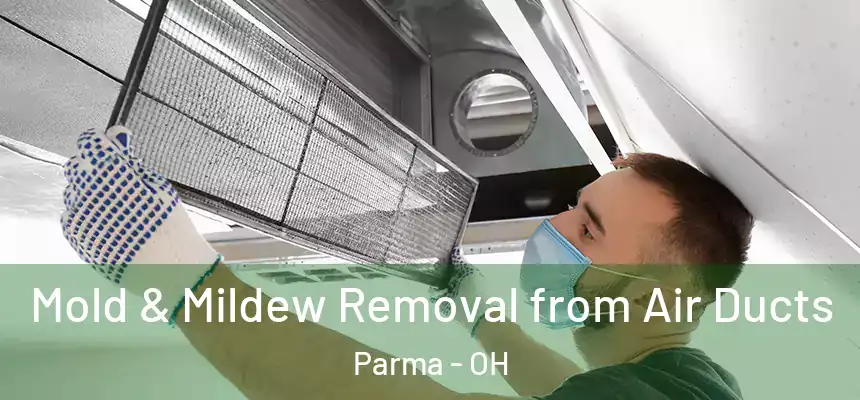 Mold & Mildew Removal from Air Ducts Parma - OH