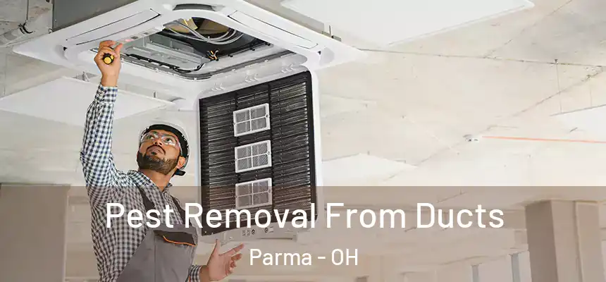 Pest Removal From Ducts Parma - OH