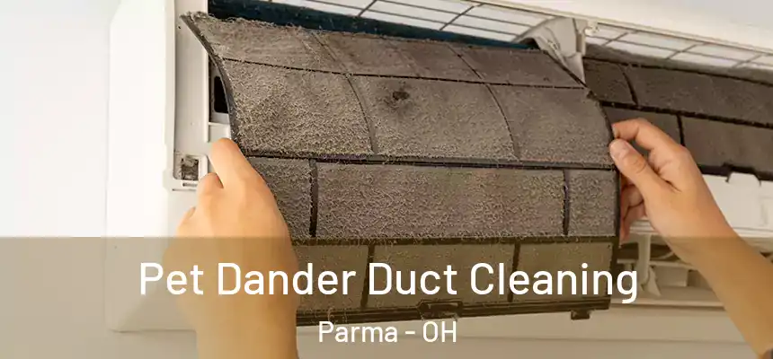 Pet Dander Duct Cleaning Parma - OH