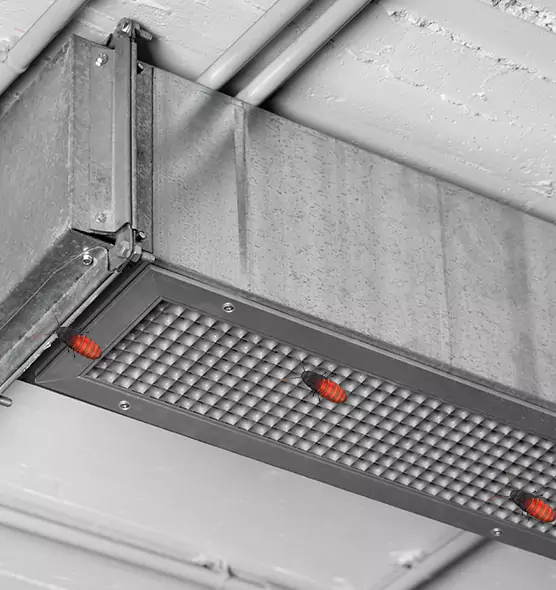 About Air Duct Cockroach Removal in Parma, OH