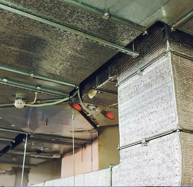 Why Homeowners & Businesses Trust Us in Parma, OH?